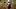 Gardner Minshew, Arizona Cardinals Q Gardner Minshew, Arizona Cardinals Q