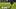 New England Patriots cornerback Charles Woods (22) New England Patriots cornerback Charles Woods (22)