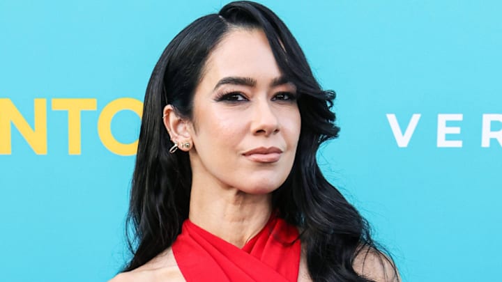 AJ Mendez aka AJ Lee