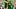 oregon ducks dan lanning tony tuioti teitum mana defensive line linebacker autzen stadium boise state broncos big ten oregon ducks dan lanning tony tuioti teitum mana defensive line linebacker autzen stadium boise state broncos big ten