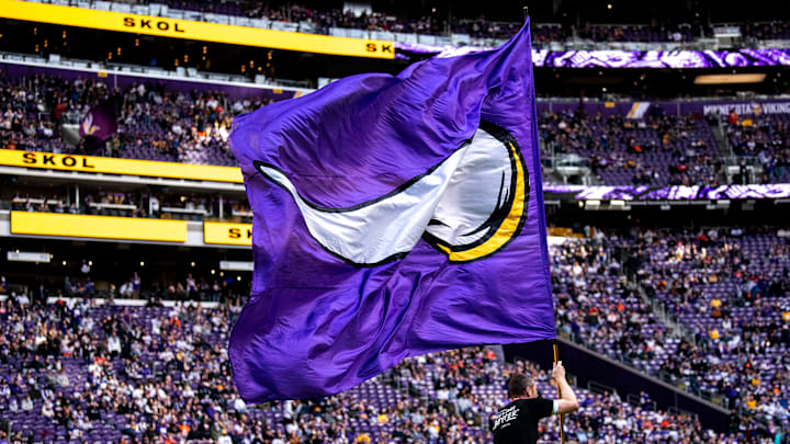 Minnesota Vikings flag