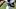 colorado buffaloes deion sanders coach prime cu buffs football offense wide receiver quanell farrakhan jr blue chip recruit colorado buffaloes deion sanders coach prime cu buffs football offense wide receiver quanell farrakhan jr blue chip recruit