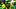 Oregon Ducks linebacker Ashton Porter Oregon Ducks linebacker Ashton Porter