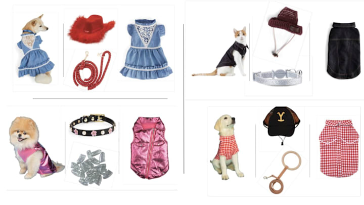 Say Howdy to Beyonce Vibes & Pet Disco Cowgirl Styles with Petco