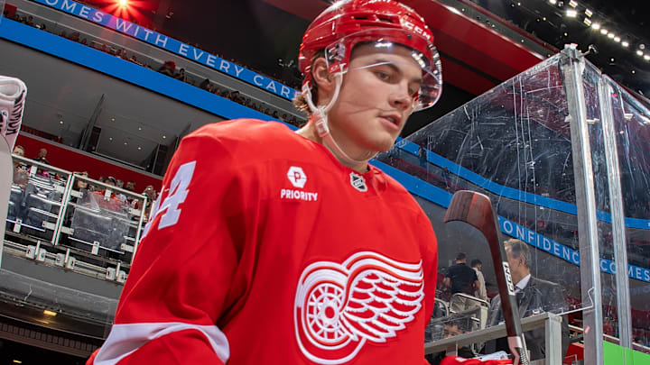 Buffalo Sabres v Detroit Red Wings
