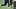 Dallas Cowboys DB Caleb Downs is coached through a drill with defensive coordinator Christian Parker at the Ford Center. Dallas Cowboys DB Caleb Downs is coached through a drill with defensive coordinator Christian Parker at the Ford Center.