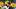 oregon ducks iapani poncho laloulu offensive line dan lanning fall camp immanuel iheanacho tommy tofi michael bennett oregon ducks iapani poncho laloulu offensive line dan lanning fall camp immanuel iheanacho tommy tofi michael bennett
