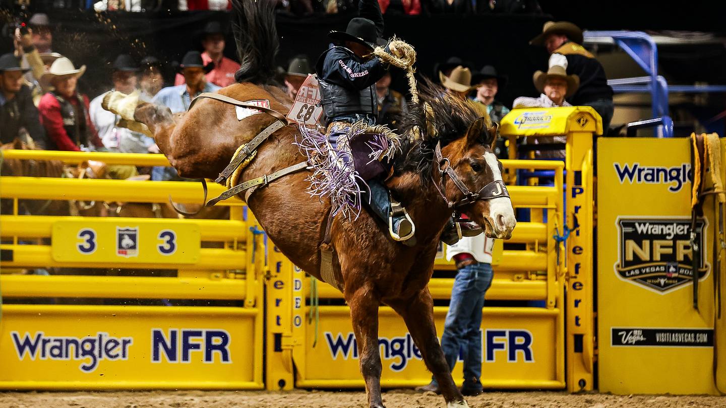 South Point From Sutton Rodeo Retires After Legendary Career