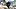 colorado buffaloes quarterback julian lewis cu buffs football college football starting qb battle ncaa big 12 sports presser colorado buffaloes quarterback julian lewis cu buffs football college football starting qb battle ncaa big 12 sports presser