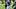 New England Patriots cornerback Brandon Crossley