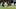 Baltimore Ravens defensive tackle Nnamdi Madubuike pressures Dallas Cowboys quarterback Dak Prescott on September 27, 2026. Baltimore Ravens defensive tackle Nnamdi Madubuike pressures Dallas Cowboys quarterback Dak Prescott on September 27, 2026.