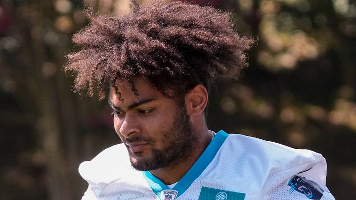 Carolina Panthers tight end Tommy Tremble (Jim Dedmon-USA TODAY Sports)