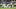 Borussia Dortmund v Bayer 04 Leverkusen - Bundesliga