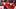 Brady Tkachuk Brady Tkachuk