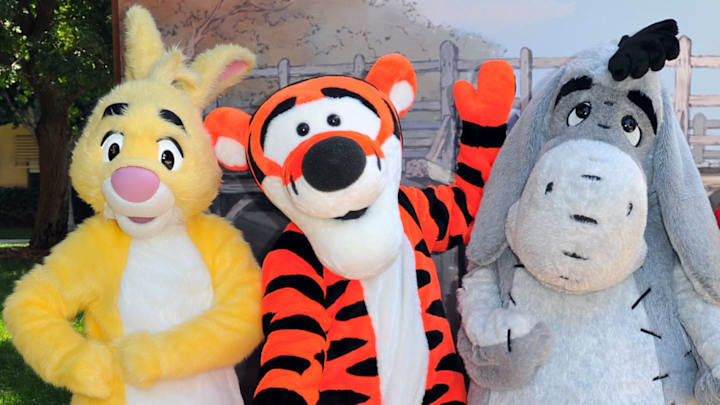 Walt Disney Pictures Presents The Premiere Of "Winnie The Pooh" - Red Carpet