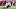 Ohio quarterback Nick Poulos gets a pass off before Nebraska's Jahsear Whittington can take him to the ground. Ohio quarterback Nick Poulos gets a pass off before Nebraska's Jahsear Whittington can take him to the ground.
