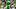 Oregon Ducks Dakorien Moore wide receiver Dan Lanning 2026 season 2025 recruiting class Big Ten College Football Playoff Oregon Ducks Dakorien Moore wide receiver Dan Lanning 2026 season 2025 recruiting class Big Ten College Football Playoff