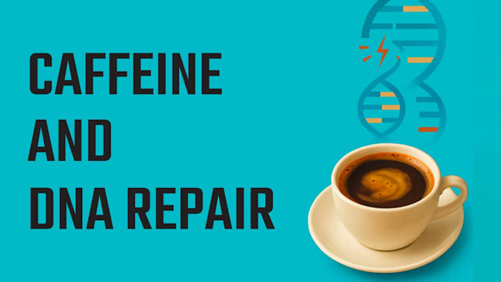 Coffee Assists with DNA Repair Coffee Assists with DNA Repair