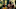 Chief_of_War_Photo_010209