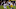 Minnesota Vikings Minnesota Vikings