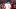 South Carolina Gamecocks head coach Shane Beamer South Carolina Gamecocks head coach Shane Beamer