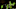 Halloween Horror Nights Mutations Toxic Twenties