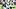 Las Vegas Raiders DBs Tristin McCollum, Isaiah Pola-Mao Las Vegas Raiders DBs Tristin McCollum, Isaiah Pola-Mao