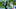 New England Patriots cornerback Christian Gonzalez