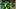 oregon ducks quarterback dylan raiola dante moore brock thomas nebraska cornhuskers anthony colandrea dan lanning autzen oregon ducks quarterback dylan raiola dante moore brock thomas nebraska cornhuskers anthony colandrea dan lanning autzen