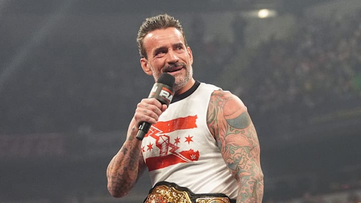 CM Punk and Roman Reigns