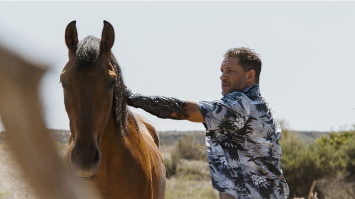 Tom Hardy stars as Eddie Brock/Venom in Columbia Pictures VENOM: THE LAST DANCE. photo by: Courtesy of Sony Pictures