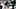 Conner Moor