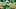 oregon ducks bear alexander defensive line offseason big ten college football playoff defense chris hampton dan lanning oregon ducks bear alexander defensive line offseason big ten college football playoff defense chris hampton dan lanning