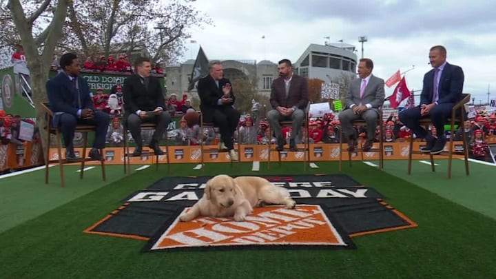 After Ben's passing, Herbstreit now brings his dog Peter on the road with him.