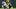 Dallas Cowboys tight end Brevyn Spann-Ford. Dallas Cowboys tight end Brevyn Spann-Ford.