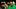 Oregon Ducks Dan Lanning College Football Coach Clasificaciones Marcus Freeman Campeonato Nacional Apuestas Big Ten Second Oregon Ducks Dan Lanning College Football Coach Clasificaciones Marcus Freeman Campeonato Nacional Apuestas Big Ten Second
