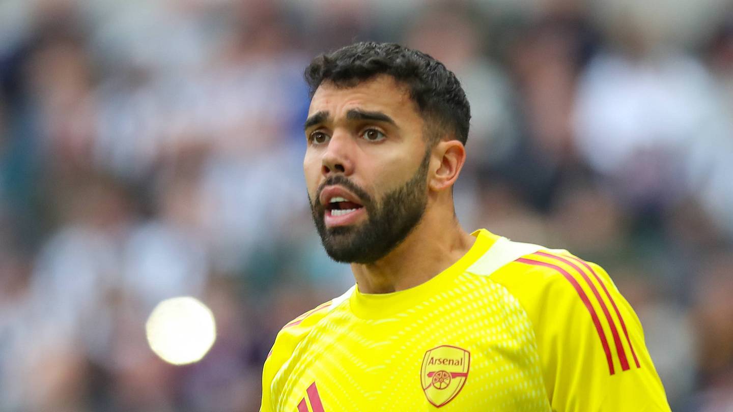 Arsche David Raya Arsenal Give David Raya ‘Improved’ Contract, Key Details Revealed