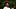 oregon ducks dante moore heisman trophy bo nix joey harrington quarterback dakorien mascot tokyo jeremiah mclcclellan