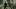 HCR5560_v007_071846.1003_R