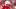 Nebraska defensive lineman Kade Pietrzak prepares for a snap against Akron on Sept. 6, 2025 Nebraska defensive lineman Kade Pietrzak prepares for a snap against Akron on Sept. 6, 2025
