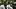 oregon ducks chris hampton defensive coordinator fall camp dan lanning koi perich brandon finney secondary nasir wyatt oregon ducks chris hampton defensive coordinator fall camp dan lanning koi perich brandon finney secondary nasir wyatt