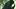 Marvel Studios' Avengers: Doomsday, starring Robert Downey Jr. as Doctor Doom Marvel Studios' Avengers: Doomsday, starring Robert Downey Jr. as Doctor Doom