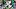 oregon ducks jeremiah mcclellan receiver evan stewart gaitlin bair ross douglas messiah hampton dakorien moore hudson lewis oregon ducks jeremiah mcclellan receiver evan stewart gaitlin bair ross douglas messiah hampton dakorien moore hudson lewis