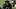 Las Vegas Raiders Defensive End Malcolm Koonce
