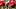 Nebraska defensive lineman Riley Van Poppel lines up against Cincinnati in 2025 Nebraska defensive lineman Riley Van Poppel lines up against Cincinnati in 2025