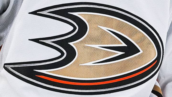Feb 13, 2024; Montreal, Quebec, CAN; View of a Anaheim Ducks logo on a jersey worn by a member of the team against the Montreal Canadiens during the third period at Bell Centre. Feb 13, 2024; Montreal, Quebec, CAN; View of a Anaheim Ducks logo on a jersey worn by a member of the team against the Montreal Canadiens during the third period at Bell Centre.