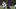 Dallas Cowboys quarterback Dak Prescott. Dallas Cowboys quarterback Dak Prescott.
