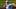 Lync Lync