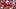 Nebraska quarterback Anthony Colandrea looks for a receiver during the 2026 Red-White Spring Game. Nebraska quarterback Anthony Colandrea looks for a receiver during the 2026 Red-White Spring Game.