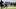 Fantasy Football, Tennessee Titans, Carnell Tate